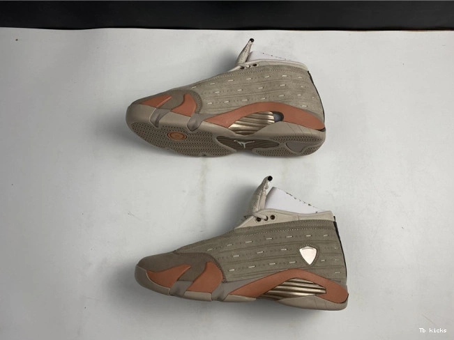 Rep TBK Clot Blush Low Jordan Retro AIR Terra 14 DC9857-200 0731